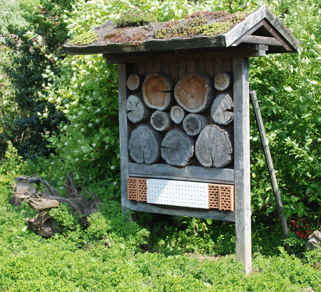 insektenhotel1.jpg