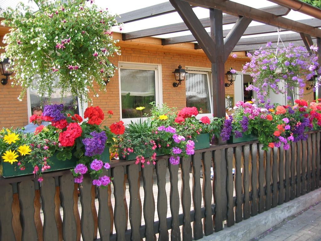 Fotoalben von 2003