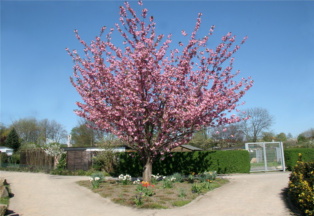 Fotoalben von 2007