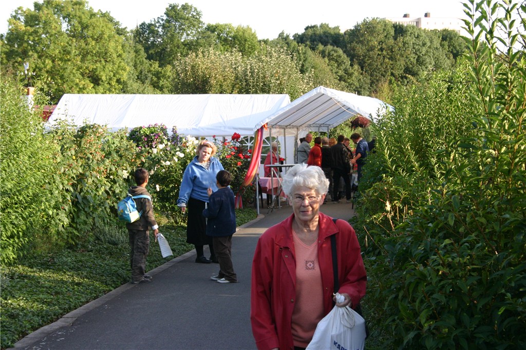 Fotoalben von 2008