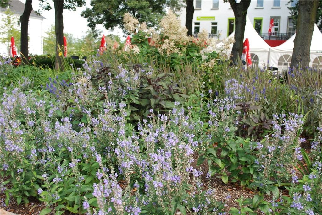 Ausflug Landesgartenschau Hemer 2010