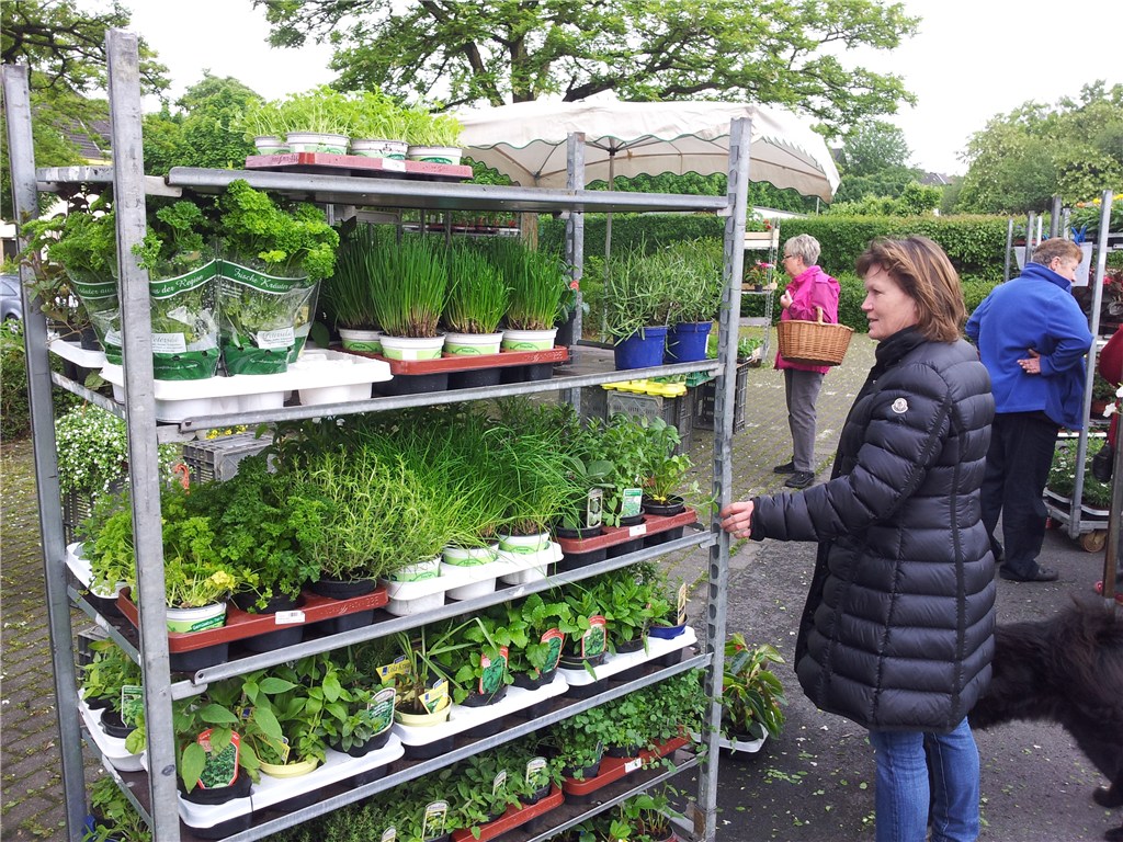 Blumenmarkt (Mai 2014)