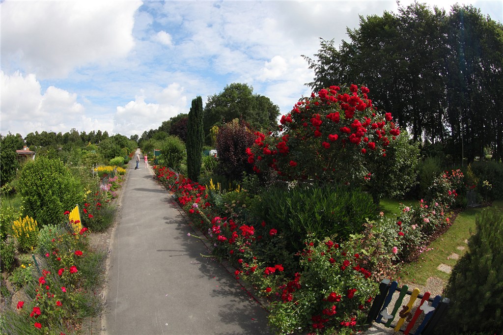 Gartenanlage (Juni 2014)
