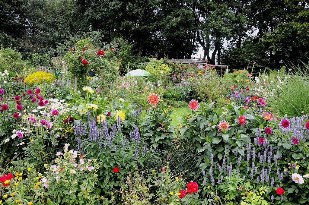 Gartenanlage (August 2015)