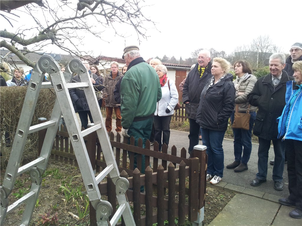 Obstbaumschnitt (März 2015)