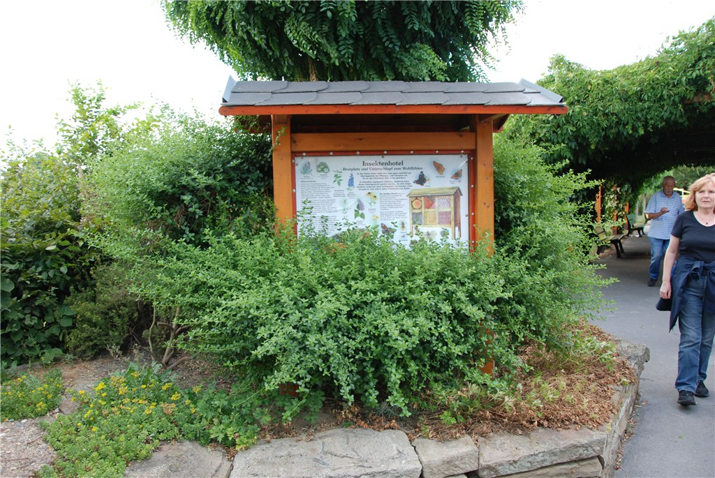 Fachberatung: Spaziergang durch Dortmunder Gartenvereine in Dorstfeld (August 2018)