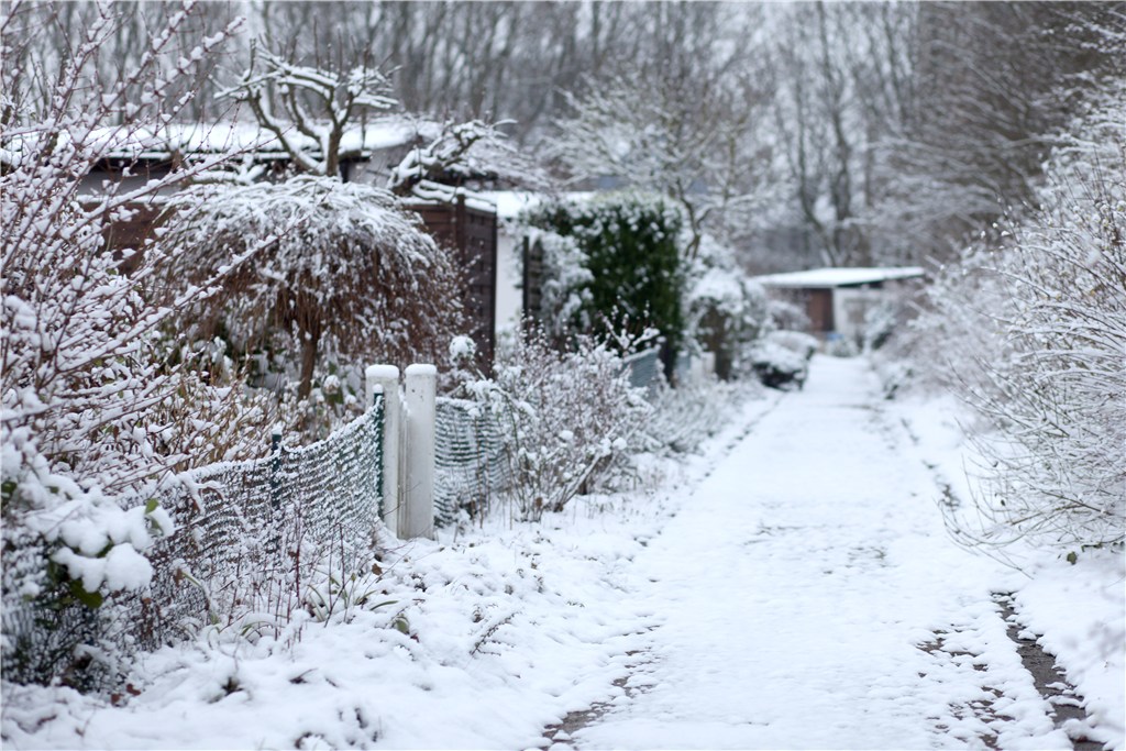 Impressionen aus der Gartenanlage 2021
