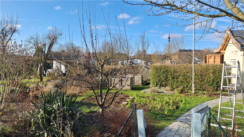 Obstbaumschnitt (Februar 2025)